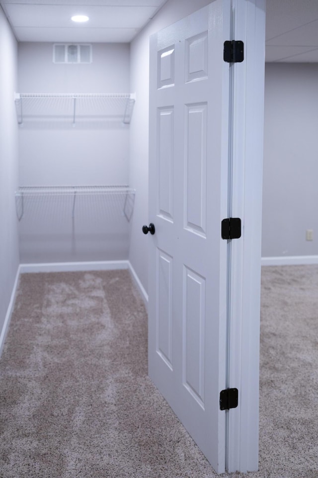 walk in closet with carpet floors, visible vents, and a drop ceiling