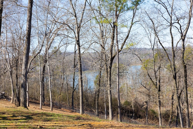 view of local wilderness with a forest view