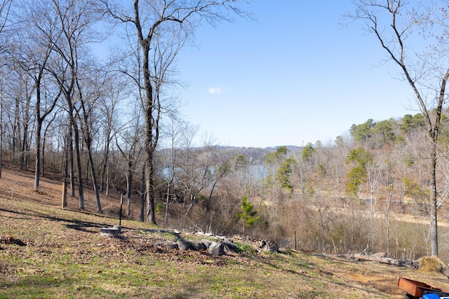 property view of mountains with a view of trees