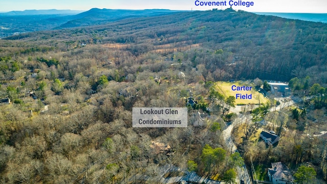 birds eye view of property with a mountain view and a view of trees