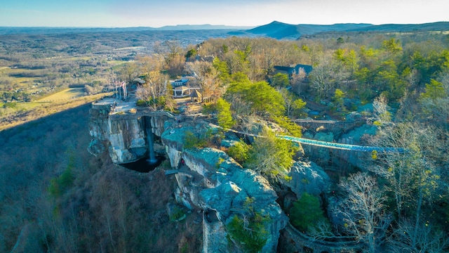 birds eye view of property featuring a forest view and a mountain view