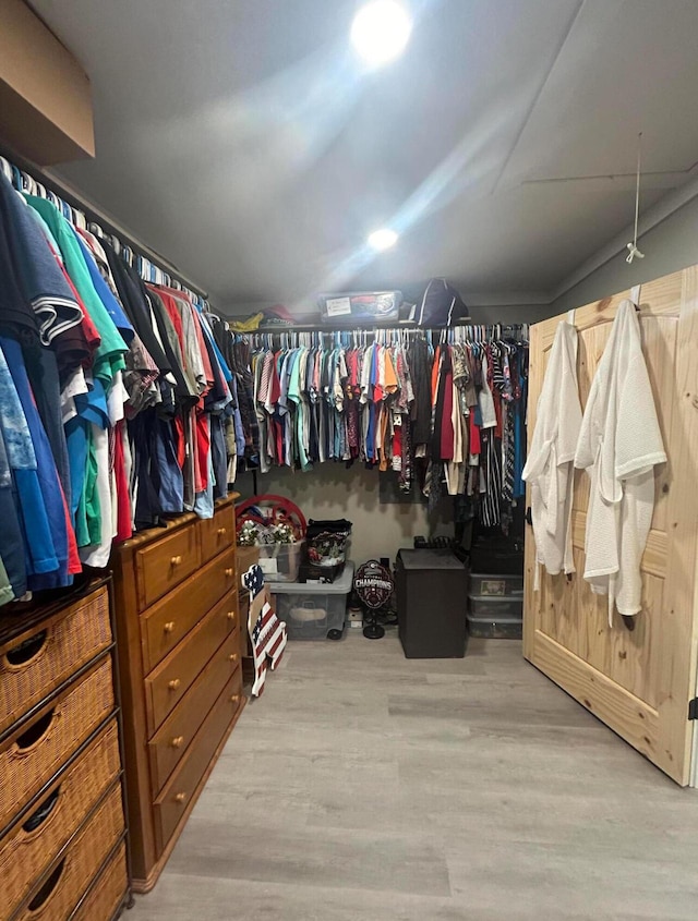 walk in closet featuring wood finished floors