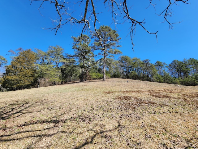 view of local wilderness