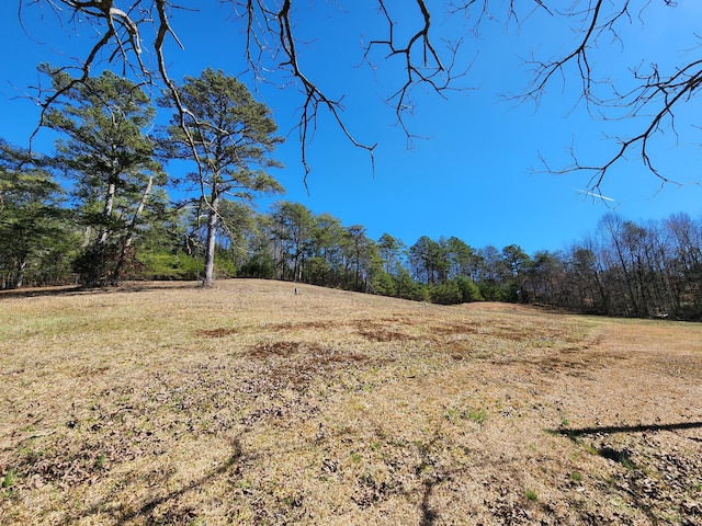 view of nature featuring a forest view