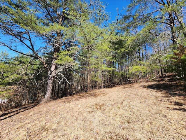 view of yard with a forest view