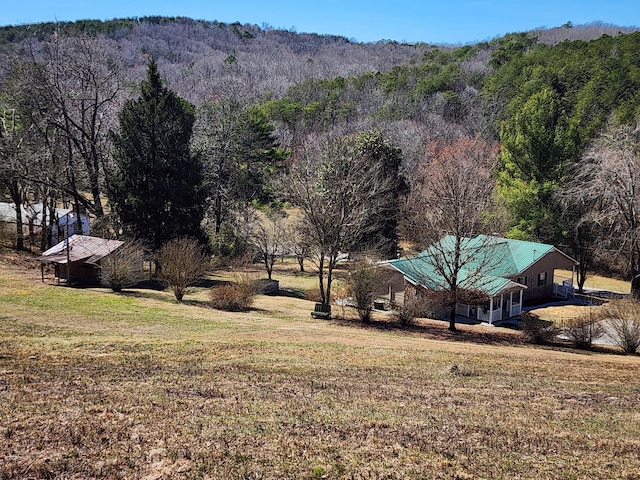 view of yard featuring a wooded view