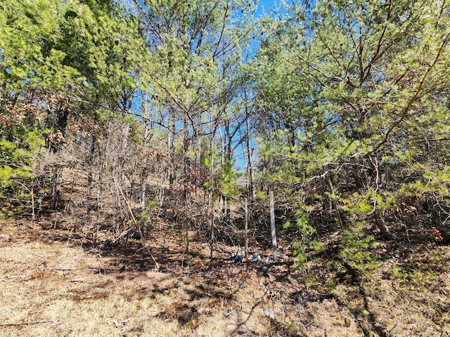 view of local wilderness featuring a forest view