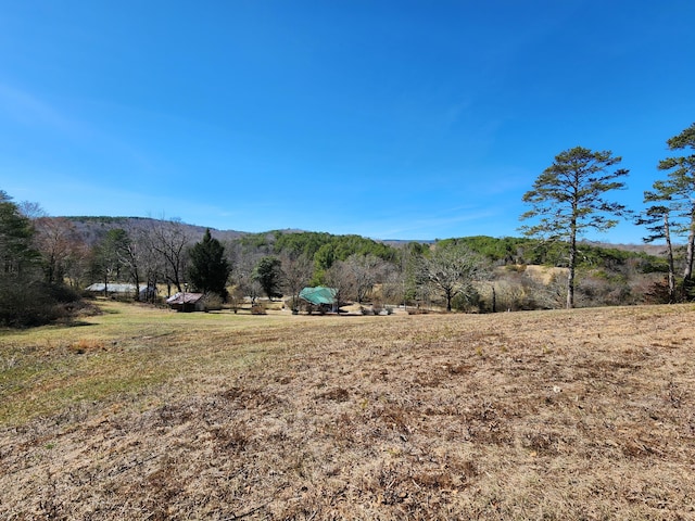 property view of mountains featuring a rural view and a view of trees