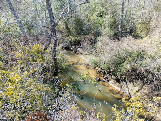 view of local wilderness with a forest view