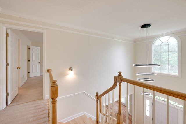 1424 Innisbrook Dr, Hixson, TN 37343 - photo 33