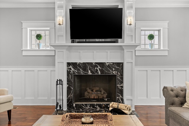 810 Boylston St, Chattanooga, TN 37405 - detailed view of ornamental molding, a decorative wall, a premium fireplace, wood finished floors, and a wainscoted wall