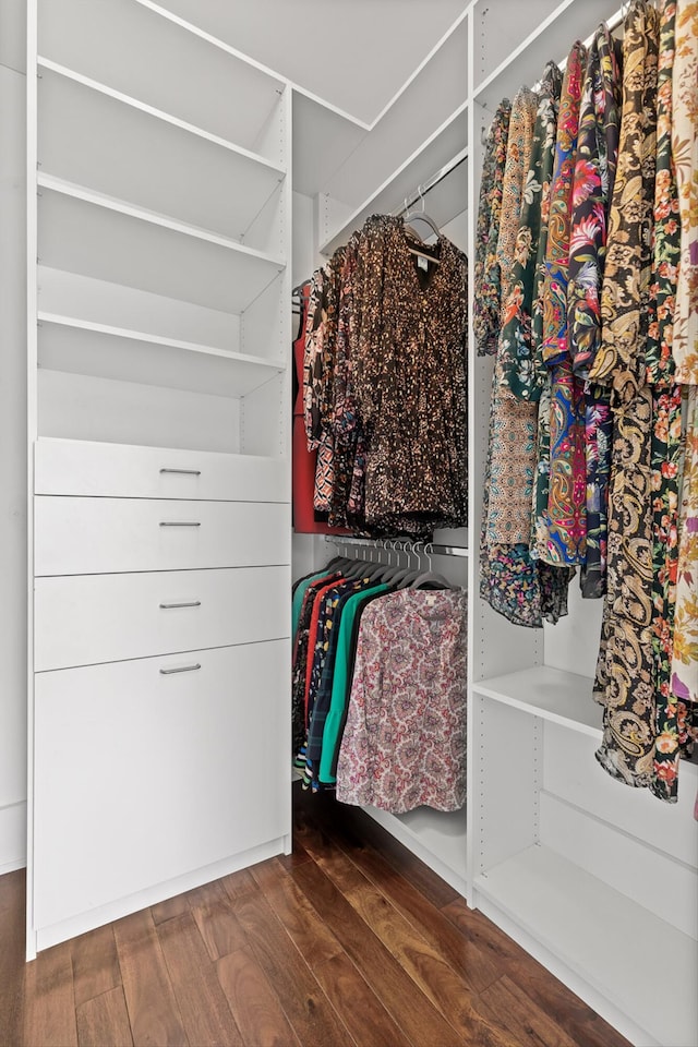 810 Boylston St, Chattanooga, TN 37405 - walk in closet featuring dark wood-style flooring