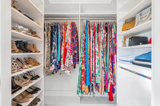 810 Boylston St, Chattanooga, TN 37405 - view of walk in closet
