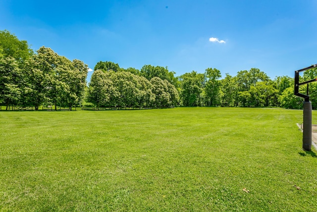 view of yard