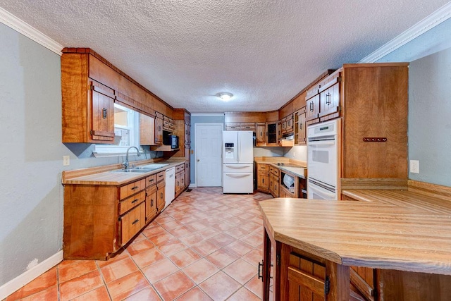 kitchen featuring brown cabinets, crown molding, light countertops, a sink, and white appliances