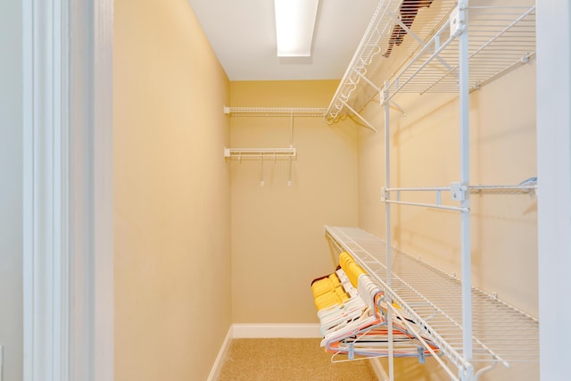 walk in closet with carpet floors