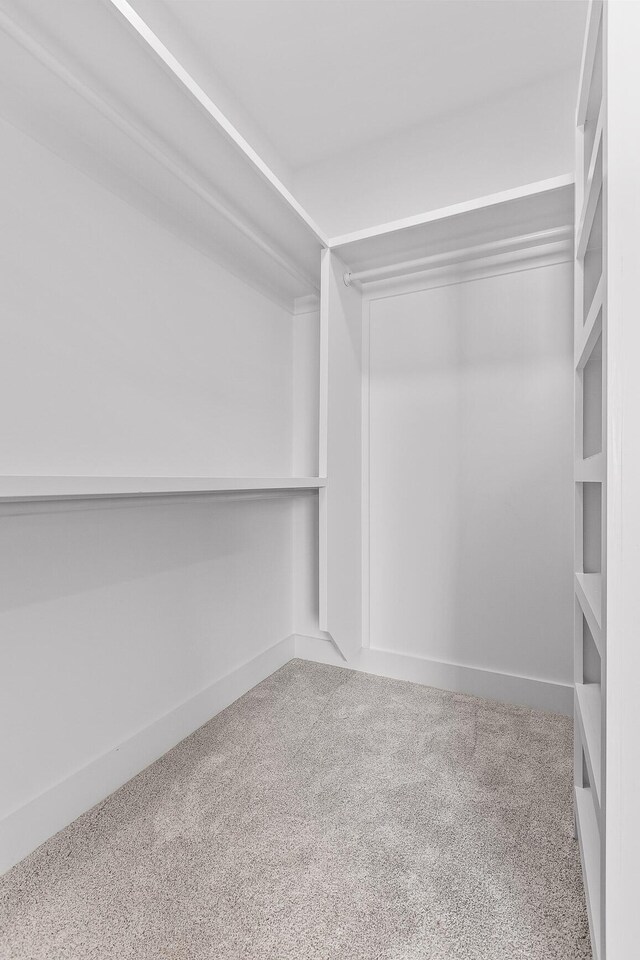 walk in closet with carpet flooring