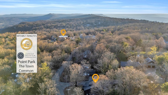 aerial view with a forest view and a mountain view