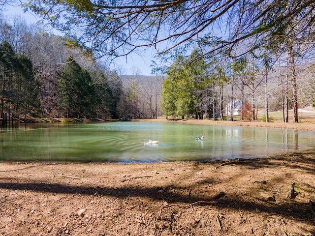 view of water feature with a wooded view