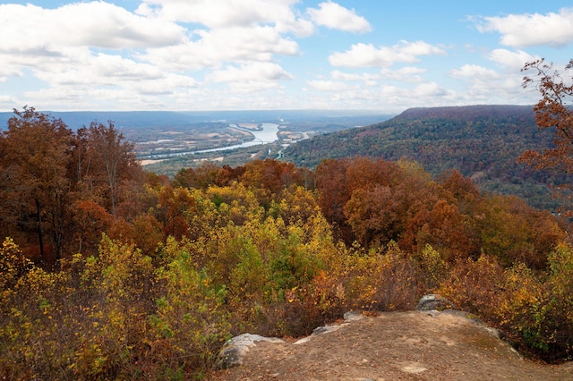 property view of mountains featuring a forest view