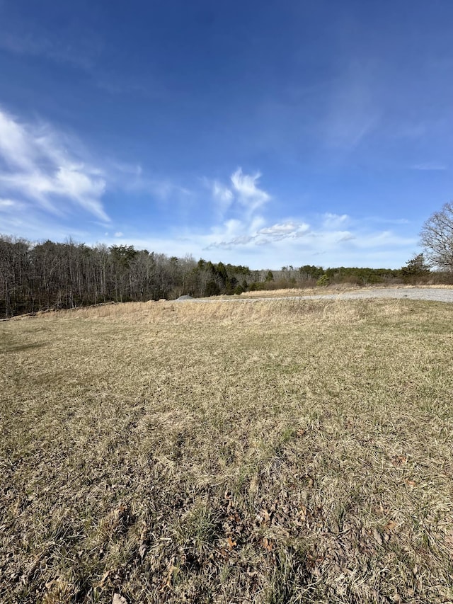 Listing photo 2 for 0 Lewis Chapel Rd, Dunlap TN 37327