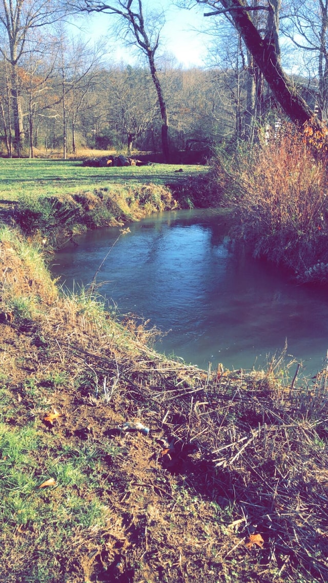 view of water feature with a view of trees