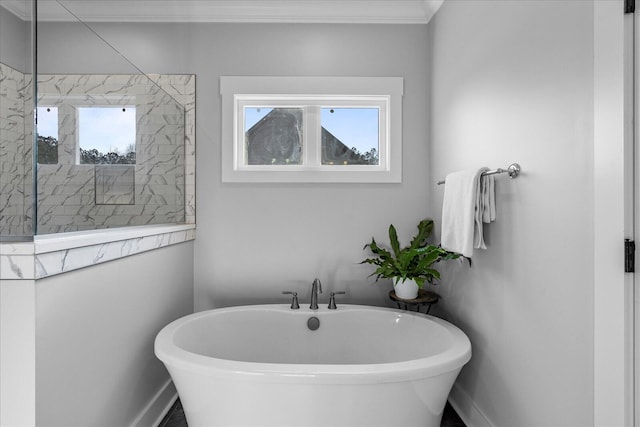 full bath with a freestanding tub, walk in shower, and ornamental molding
