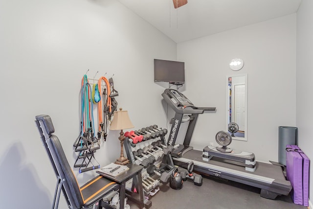 exercise area featuring ceiling fan