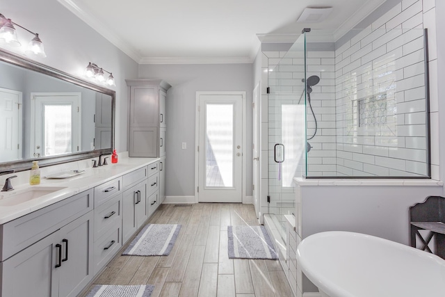 full bathroom featuring ornamental molding, plenty of natural light, a sink, and a shower stall