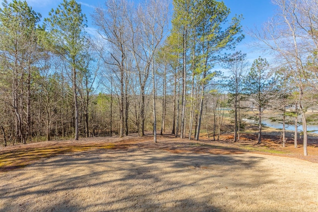 view of yard with a wooded view