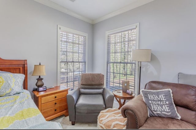 bedroom with ornamental molding