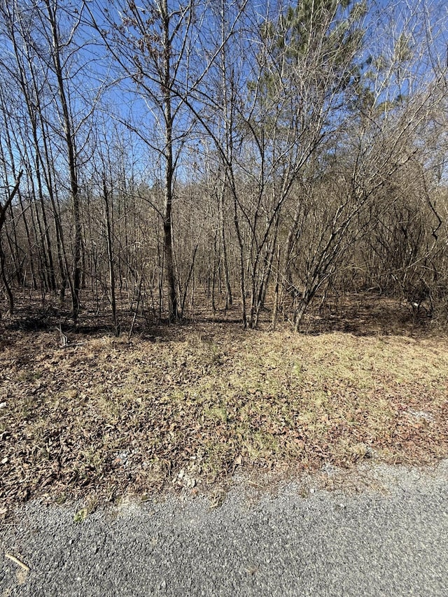 Listing photo 2 for 0 Will Allen Rd, Decatur TN 37322