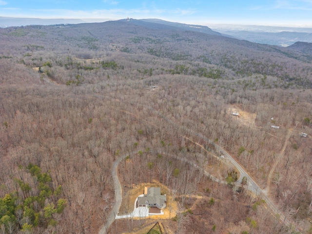 aerial view with a mountain view