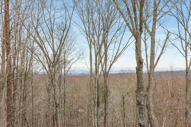 view of local wilderness