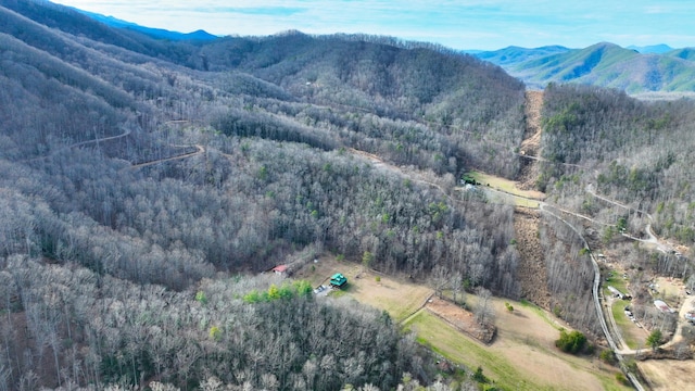 0 Ramsey Rd, Cosby TN, 37722 land for sale