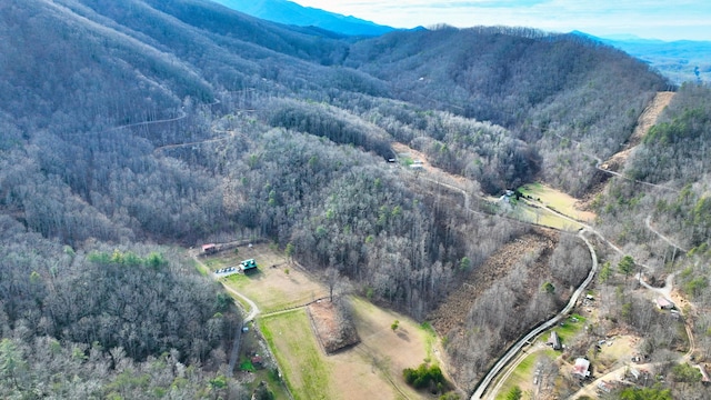 Listing photo 3 for 0 Ramsey Rd, Cosby TN 37722