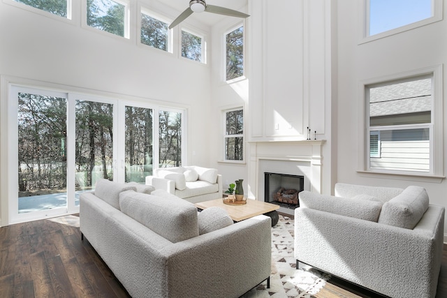 living area with plenty of natural light, a high ceiling, and dark wood finished floors