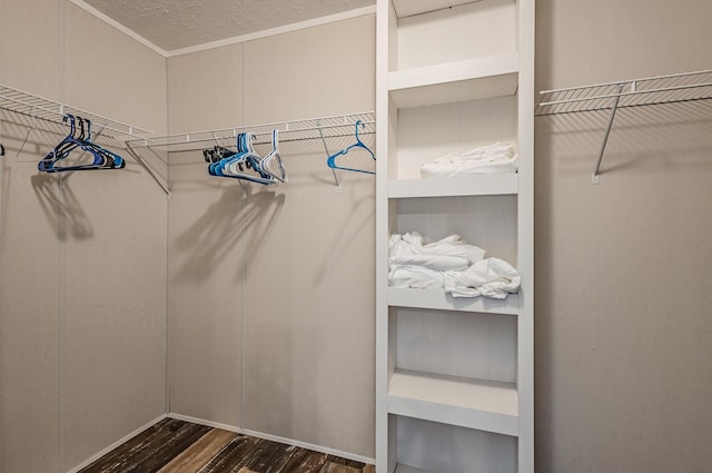 walk in closet featuring dark wood-style floors