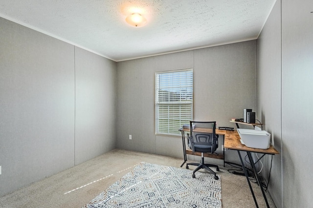 office space with carpet and a textured ceiling