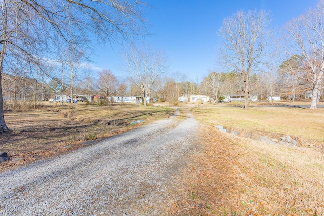 view of street featuring gravel driveway