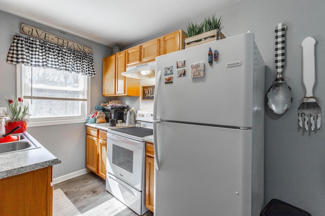 kitchen featuring under cabinet range hood, white appliances, a sink, light wood-style floors, and light countertops