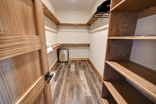 spacious closet featuring wood finished floors