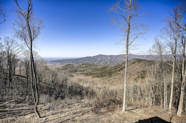 property view of mountains