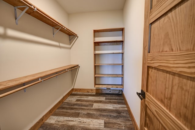 spacious closet featuring dark wood finished floors