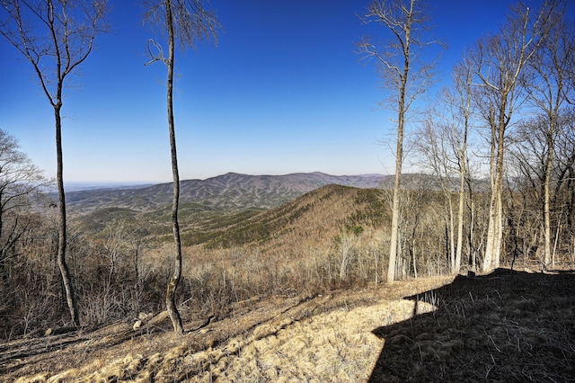 property view of mountains with a view of trees