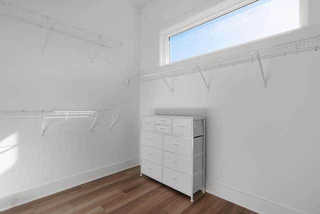 spacious closet with dark wood-style flooring