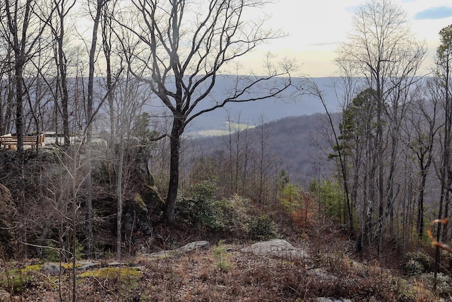 Listing photo 2 for 0 River View Ct Lot 141, Jasper TN 37347