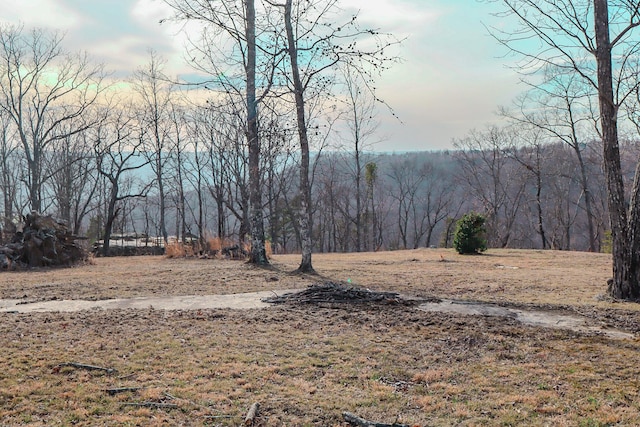 Listing photo 3 for 0 River View Ct Lot 141, Jasper TN 37347