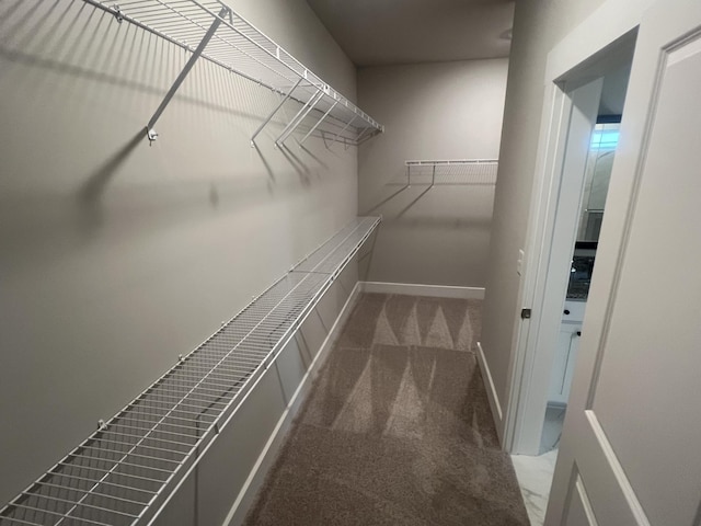 spacious closet featuring carpet floors