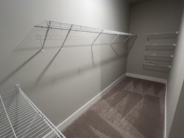 spacious closet with carpet floors